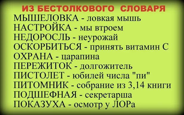 Бестолковый почему