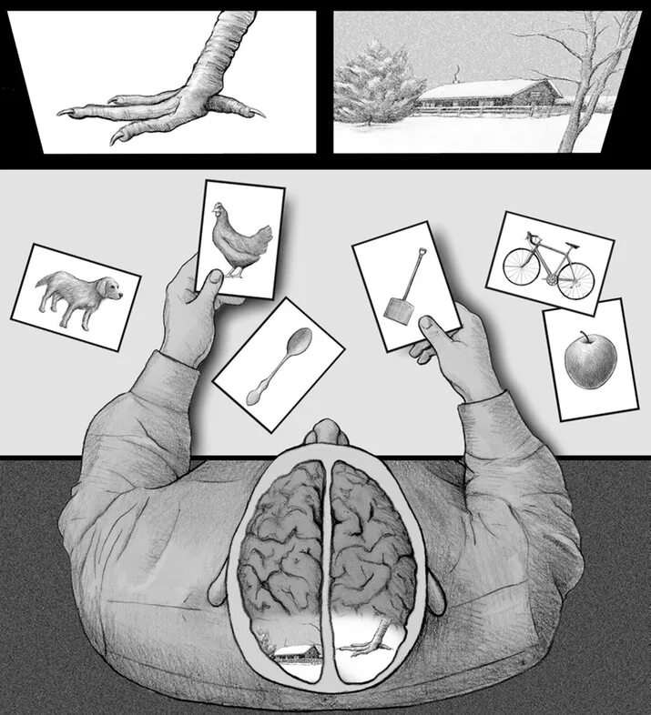 Квазифакты это тгп. Хрустальный череп артефакт. Магический шар в руках. Артефакт в психологии. Искажение информации психология.