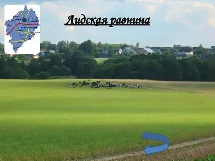 Равнины беларуси