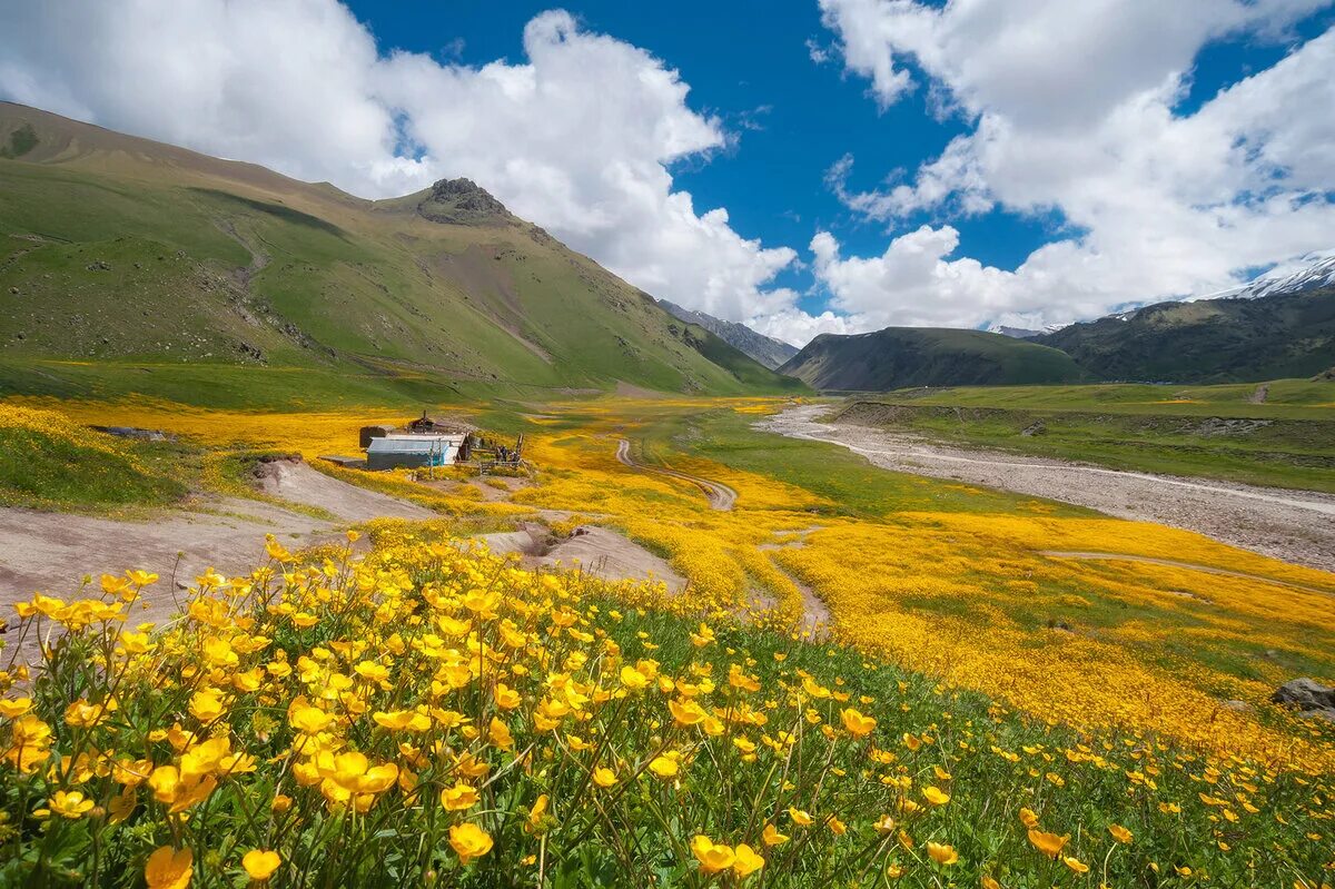 Грек поляна. Экотропа альпийские луга. Якушев рафис чебоксары депутат. Поляна эммануэля в джилы-су. Урочище джилы-су поляна эммануэля.