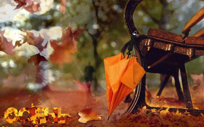 Осень Вдохновение. Осенний зонтик. Осень зонт. Осень дождь зонт листья. Однажды осенним вечером