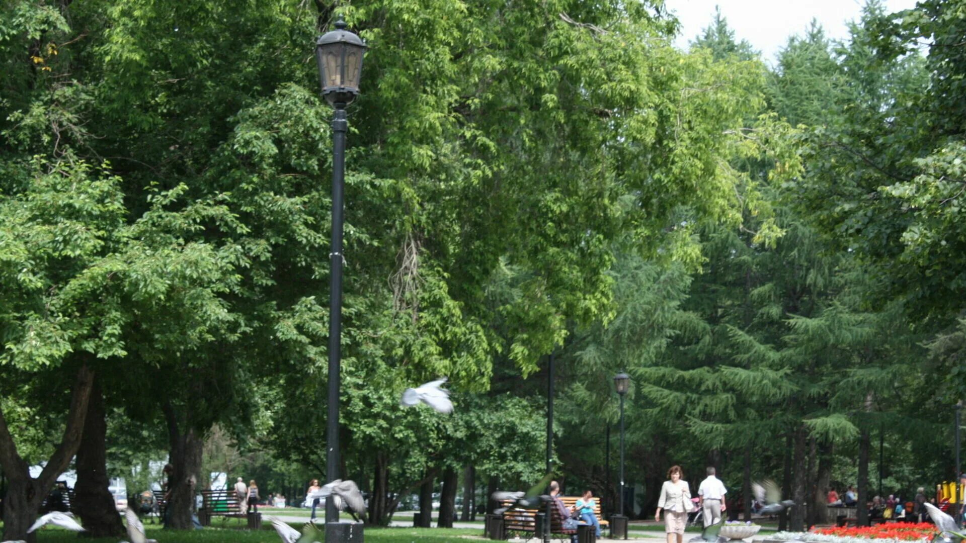 Зеленые насаждения в перми в перми. Пермь зеленый город. Самый зеленый город. Зеленый город пермь. Пермь самый зеленый город россии.