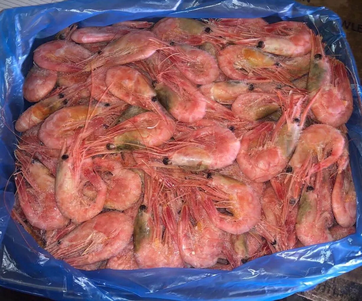 размер креветки креветка северная 120+. размерный ряд: 120/170 креветки. креветки какие больше 50 70. креветки размер 150. креветка 70/90 размер.