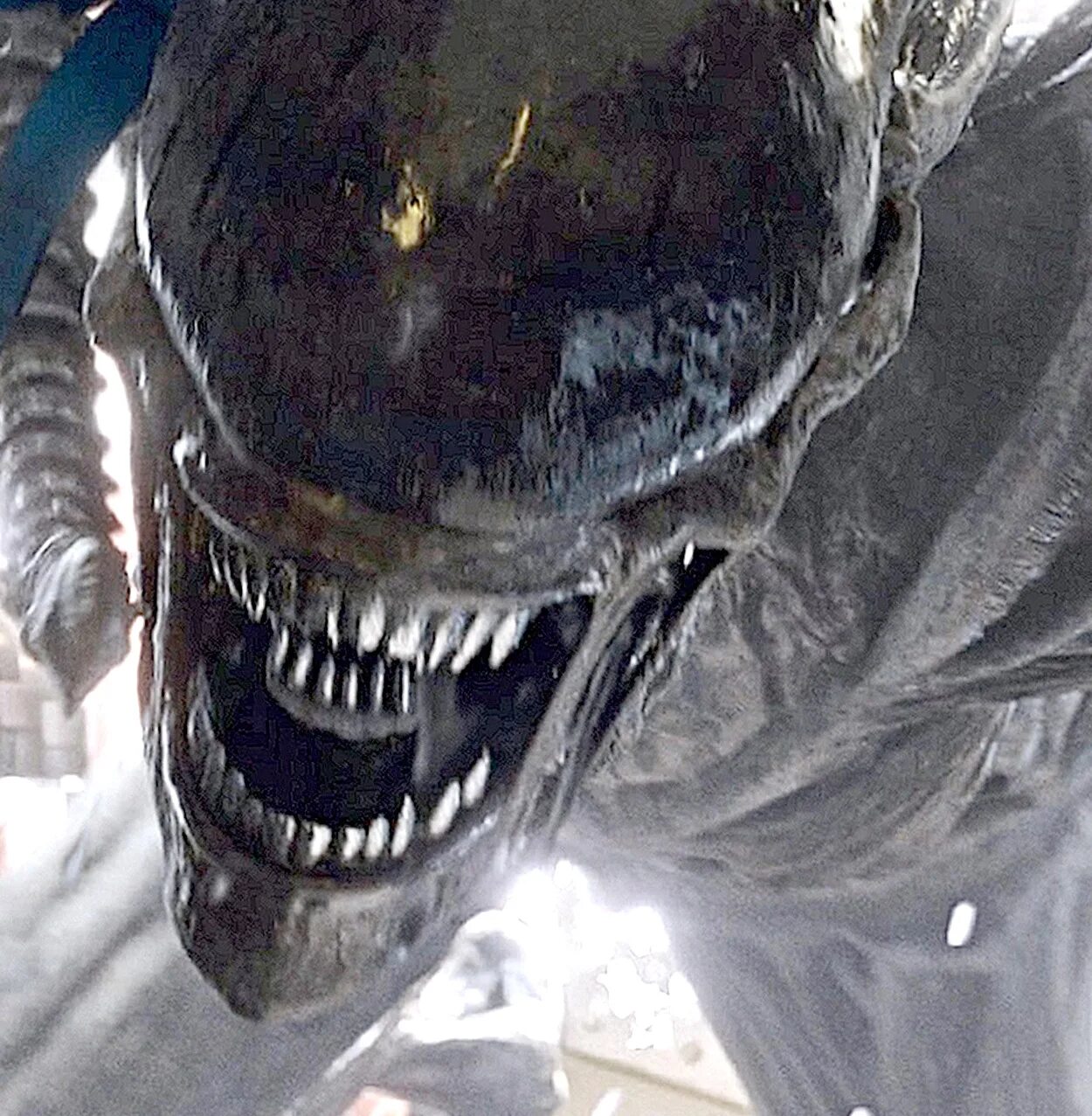 Ридли скотт голова создателя. Alien fireteam чужие. Alien ксеноморф xenomorph комиксы. Чужой дядя. Чужой дядя.