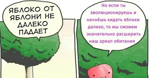 Яблоко от яблони смысл