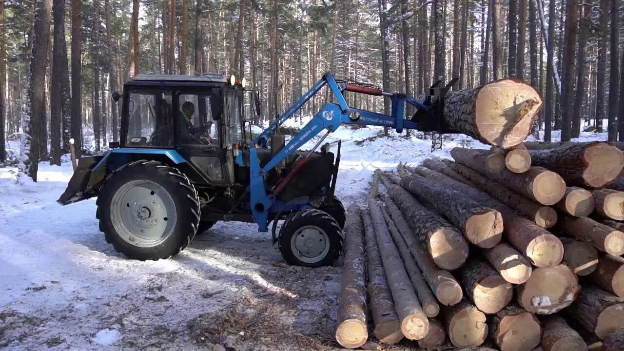 МТЗ 82 погрузчик леса. Трактор МТЗ 82 погрузчик. Кун для леса на МТЗ 82. Погрузка леса на МТЗ 82.