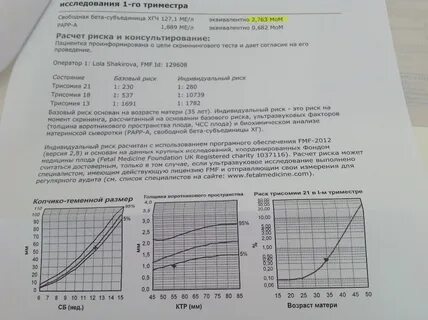 13 субъединица хгч
