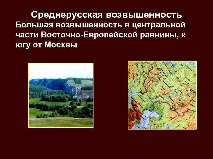 Восточно-европейская равнина Среднерусская возвышенность. Холм Среднерусская возвышенность. Среднерусская возвышенность и низменность на карте. Среднерусская возвышенность рельеф.