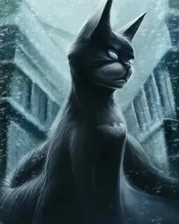 Кот бэтмен