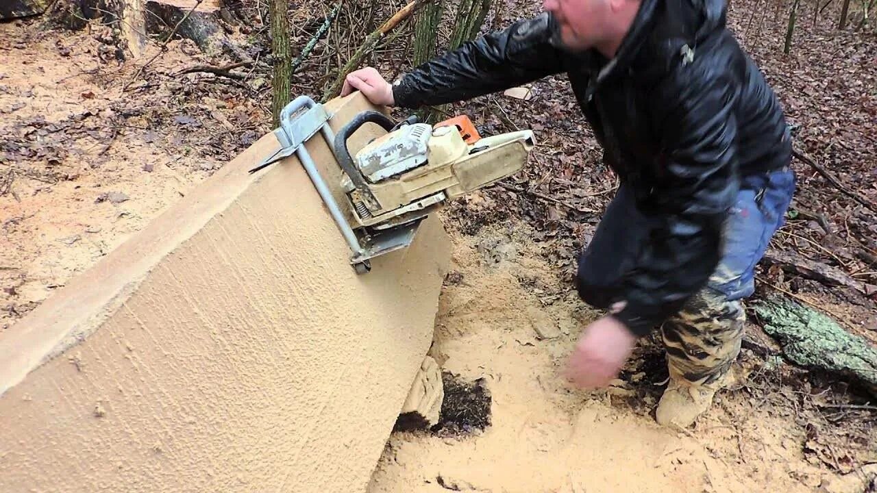 Бензопила дерево. Shtil валка больших деревьев. Спил дерева бензопилой. Распил деревьев бензопилой. Бензопила дерево.