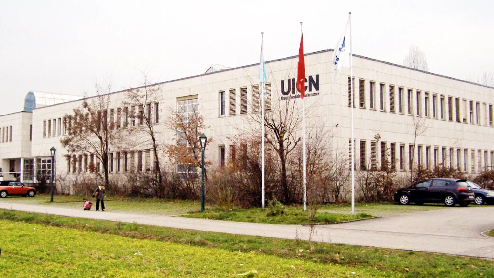 Когда был создан союз охраны природы. Международный союз охраны природы. international union for conservation of nature. всемирный союз охраны природы (мсоп). мсоп фото.