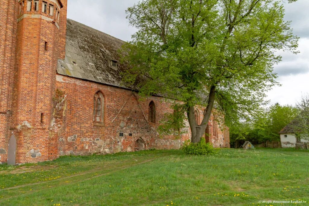 кирха нойхаузен калининград. замок алленбург калининградская область. лютеранская кирхи балтийска. кирха правдинский район поселок дружба. кирха нойхаузен калининградская область.