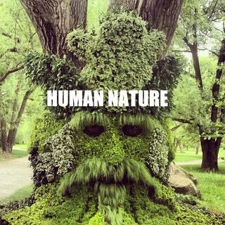 Natural compilation
