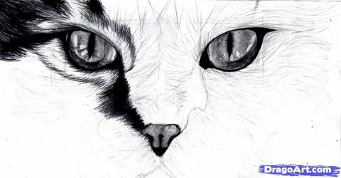 Как нарисовать кошачий глаз