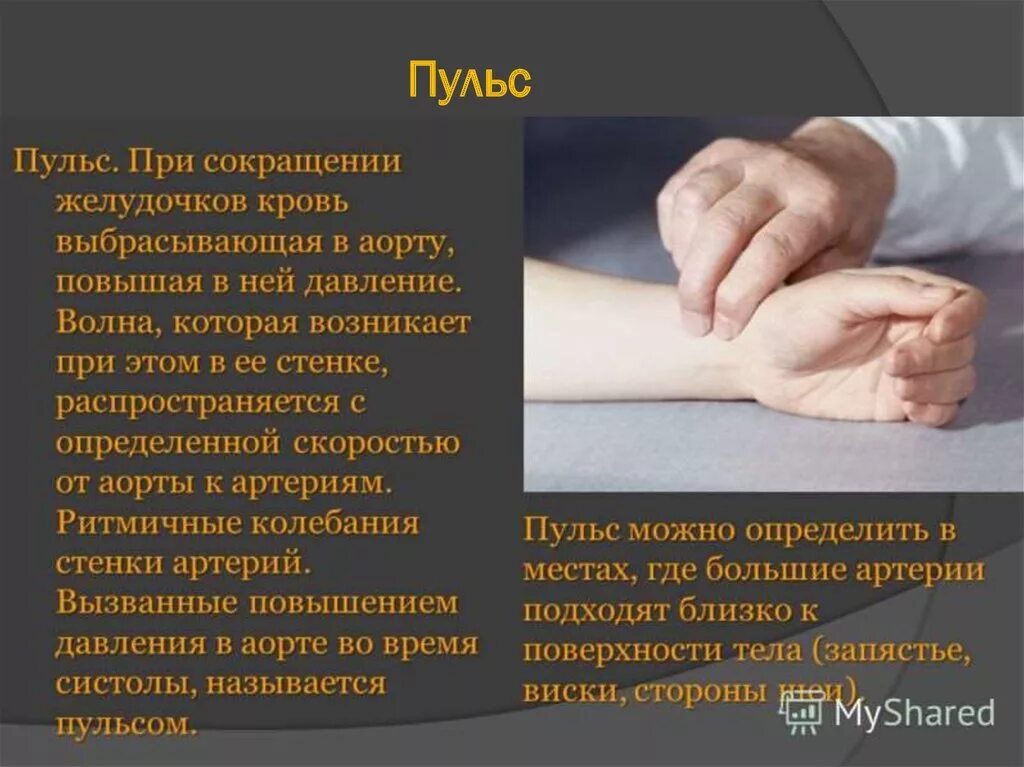 Колеблется пульс. Пульс. тема для презентации пульс. пульс презентация. пульс сообщение.