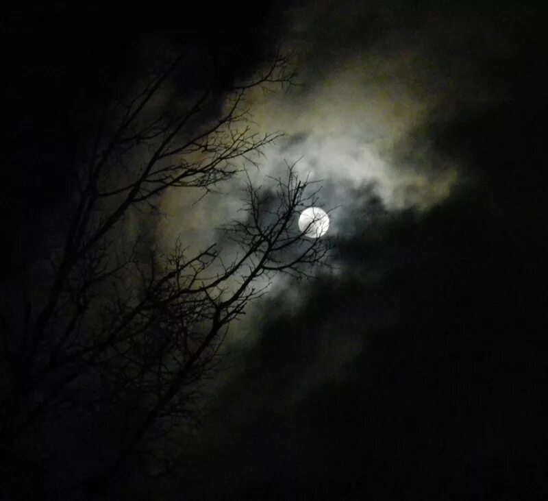 свет во тьме. свет в темноте. рассвет высказывания. мрачное кладбище. мрачное одиночество.