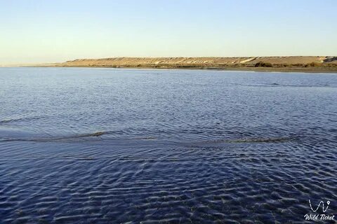 Казахстан море какое