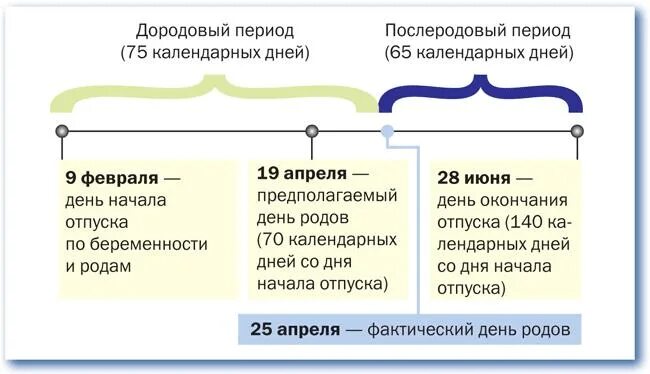 Во сколько выходят в декрет. Дородовый отпуск. Срок дородового декретного отпуска. Продолжительность послеродового отпуска. Споки дородового отпуска.