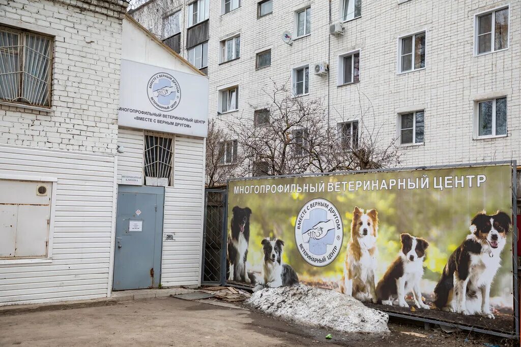 Ветклиника киров подгорная. Ветклиника киров подгорная. Ветклиника киров подгорная. Ветклиника киров подгорная. Киров улица горького 28 ветклиника соболевых.