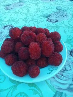 Про малиновую косточку
