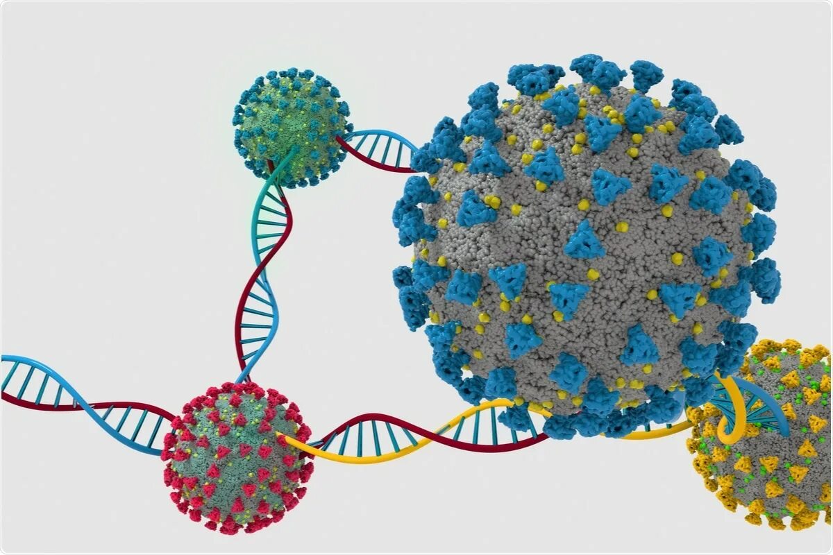 F virus. Коронавирус мутации. Вирусы коронавирус ДНК. Мутация вируса. Мутации коронавируса Covid-19.