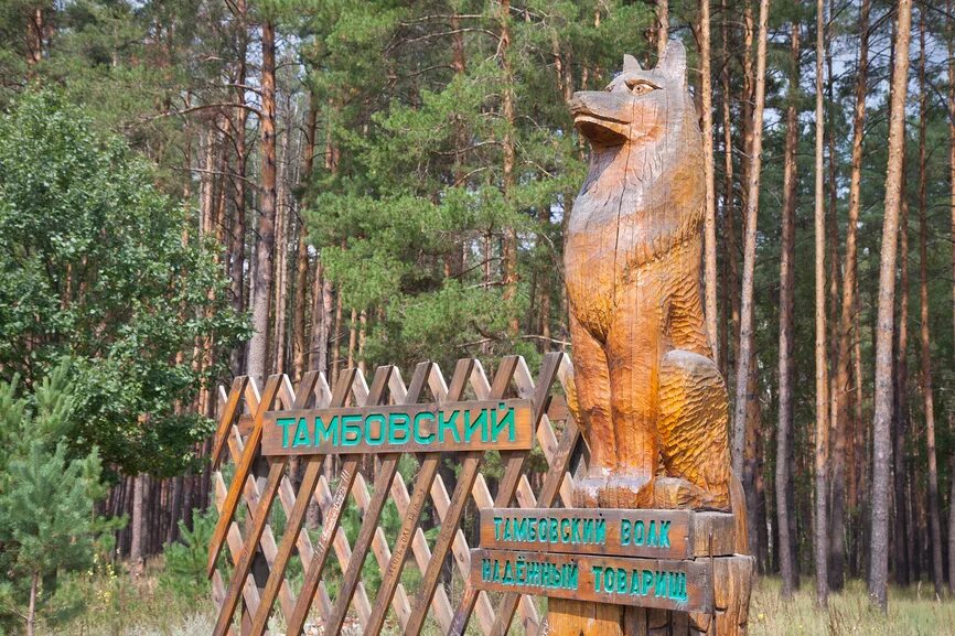 Тамбов волк. Тамбовский волк статуя. Памятник волку в Тамбове. Тамбовский волк товарищ. Памятник тамбовскому волку