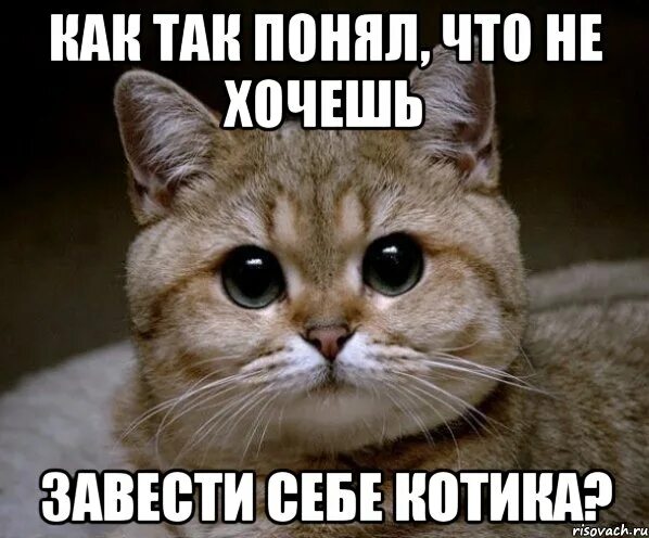Ты меня заводишь и хочешь