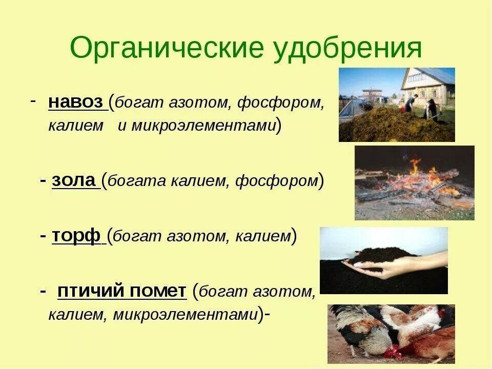 Примеры органических удобрений. Удобрение органическое. Виды органических удобрений. Органические удобрения навоз. Органические удобрения презентация.