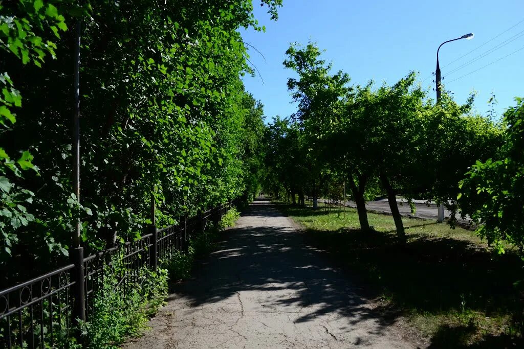 Парк в Отрадном город Отрадный. Городской парк города Отрадный Самарской области. Липовая аллея Отрадный Самарская область. Орлова 7 Отрадный Самарская область.