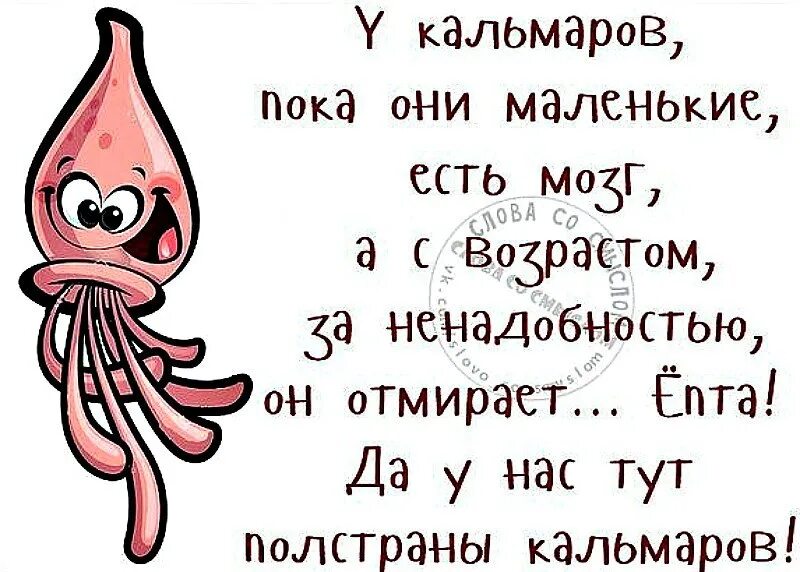 Полстраны как пишется. Цитаты про мозг смешные. Статус про мозги. Цитаты про мозги смешные. Статус про мозг.