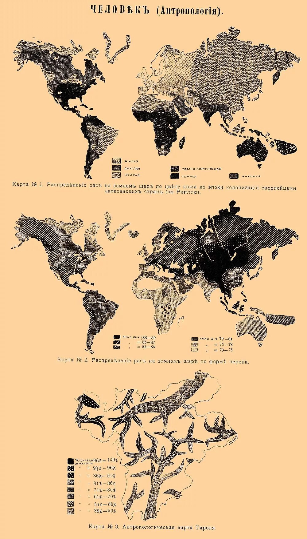 Кожевенное на карте. Карта распределения цвета кожи. Антропология карта. Карта антропологических типов. Европейская антропология карта.