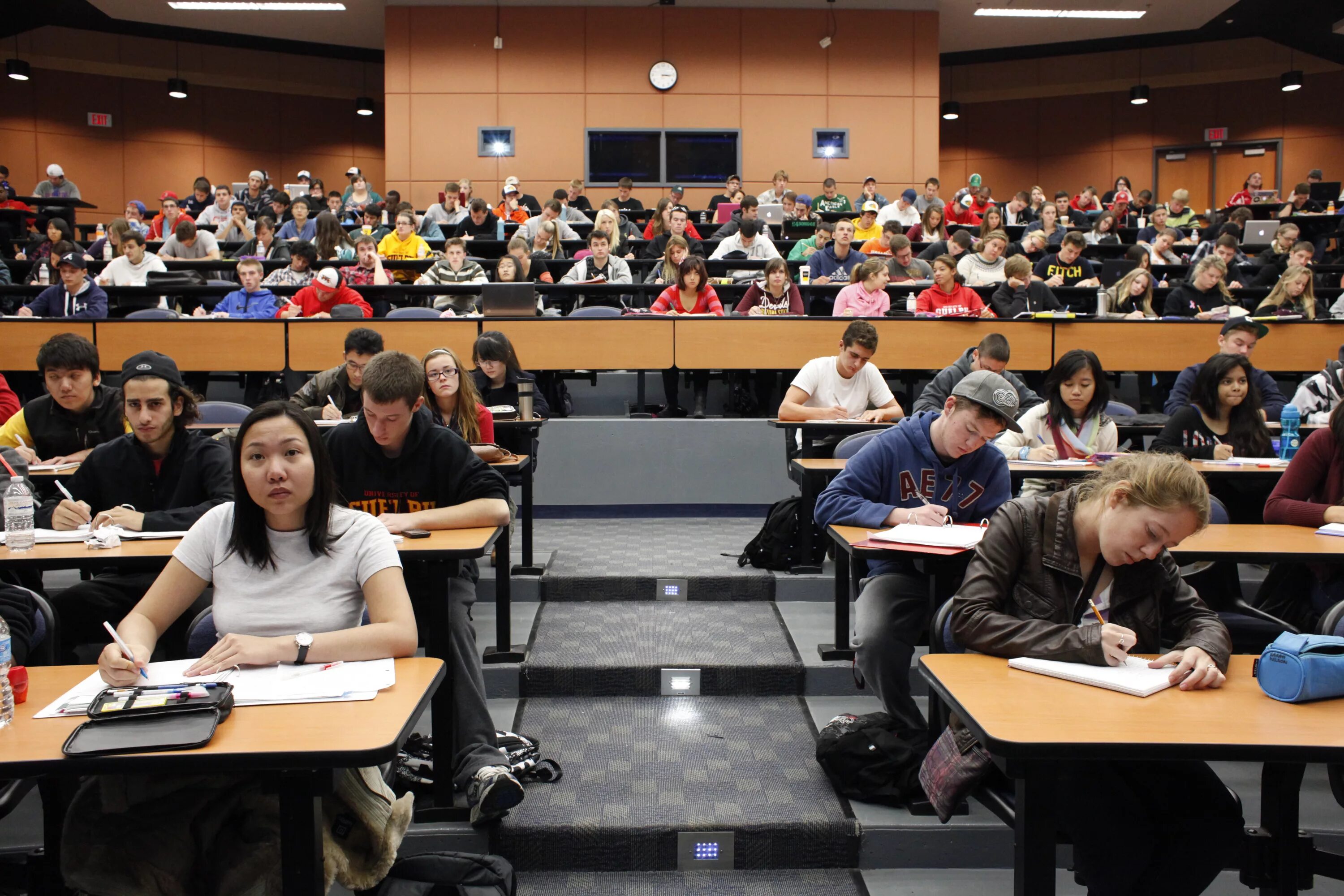 At university or in university. Канада университет лекция. university of guelph. students at university. lecture in university.