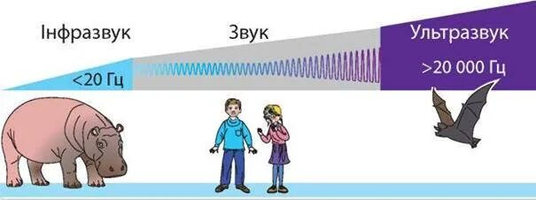 Звук и ультразвук. Ультразвук и инфразвук схема. Частота звука и ультразвука. Звук инфразвук ультразвук.