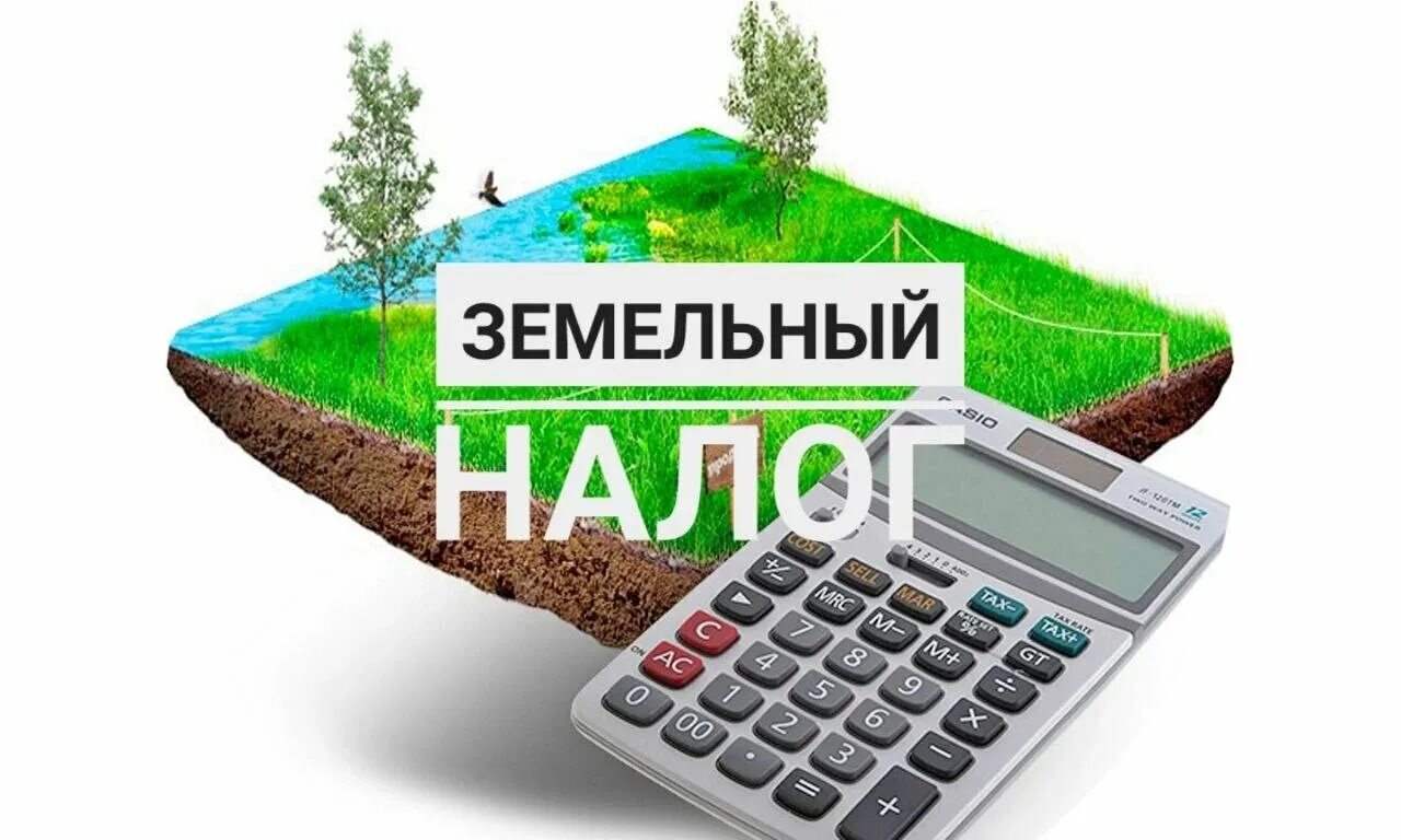 Налог на дачную землю. Земельный налог. земельный налог картинки. налог на земельный участок. земельное налогообложение.