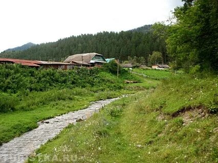 Анос чемальский