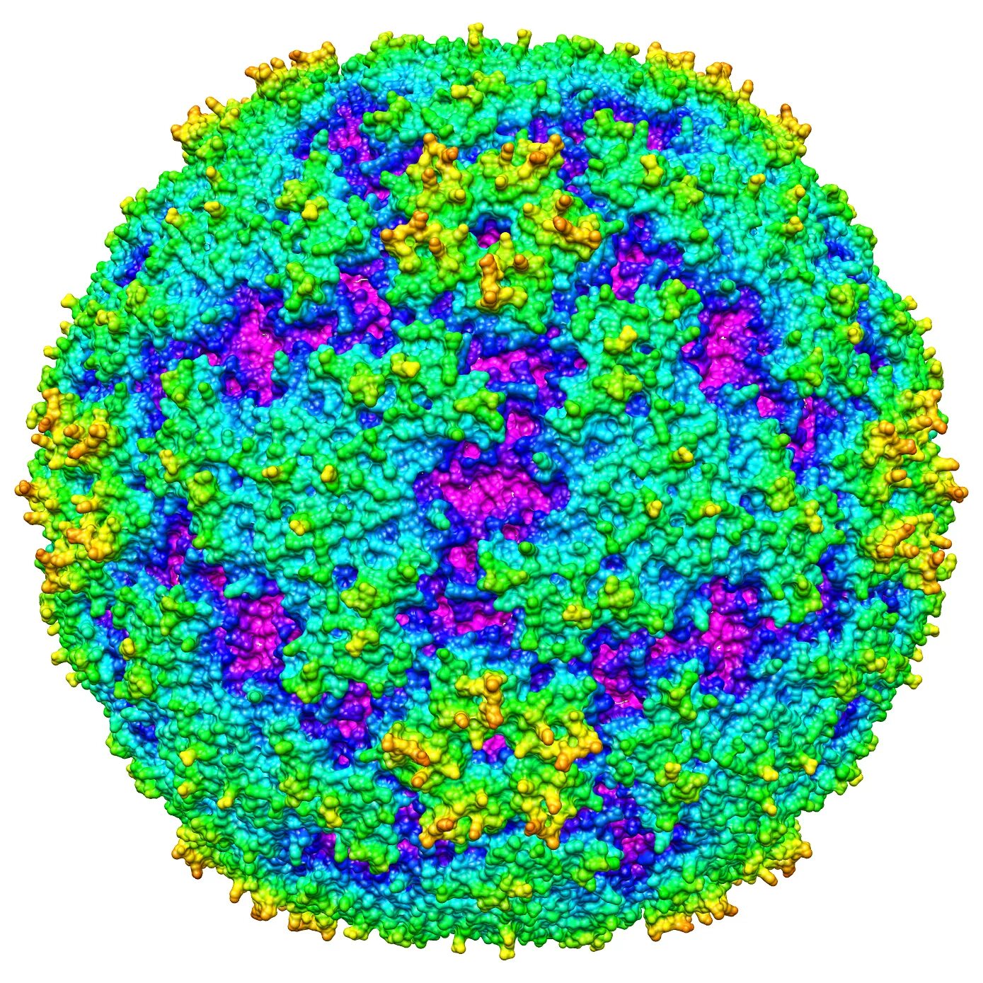 Энтеровирус c. Вирус enterovirus. энтеровирусы 68-71 микробиология. энтеровирус возбудитель. энтеровирус под микроскопом.