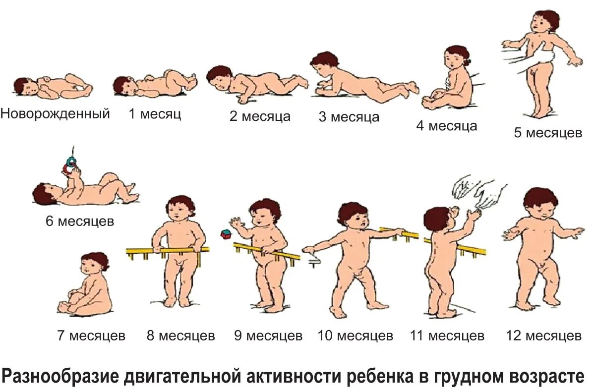 Через сколько месяцев будет лет. Возраст когда ребенок начинает ходить. Когда дети начинают ходить. В каком возрасте ребенок должен начать ходить. Во сколько дети начинают ходить самостоятельно.