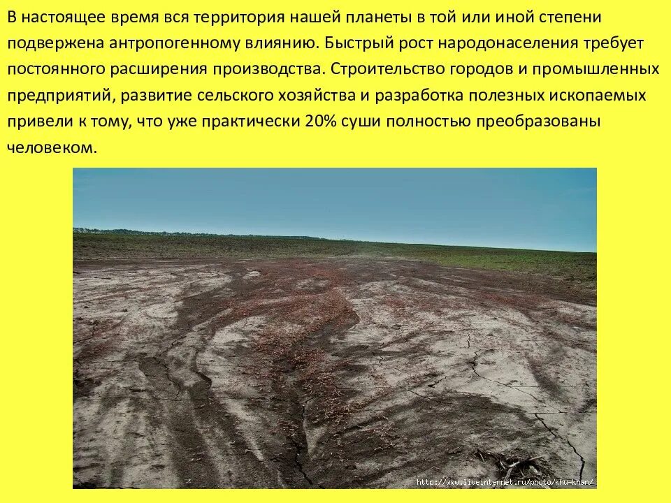 Что не является причиной истощения почвенных ресурсов
