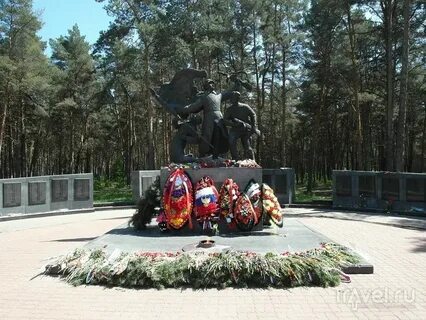 Д шебекино