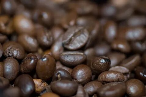 Coffee bean