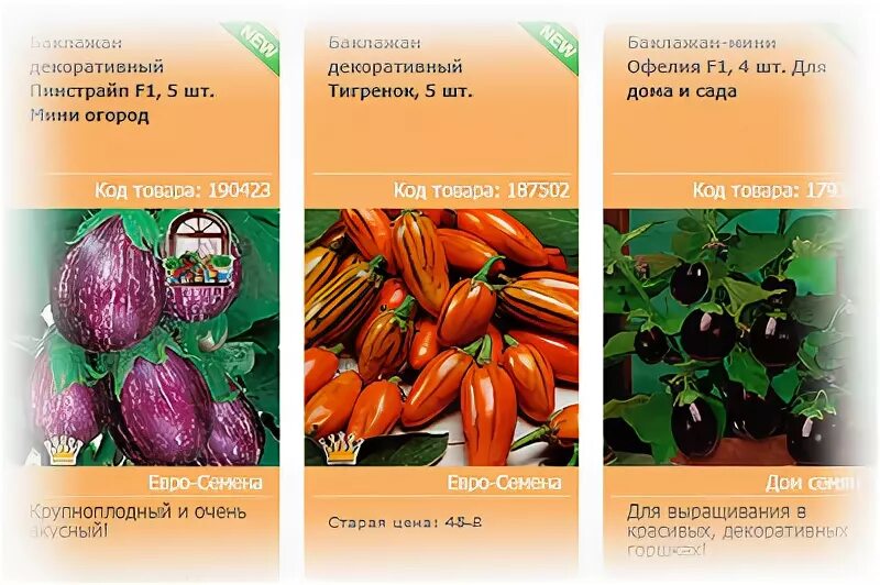 Семена-почтой интернет магазин. Seedspost семена интернет магазин. Сидпост семена интернет магазин каталог на 2024. Сидпост семена интернет магазин каталог на 2024. Сидпост семена интернет.