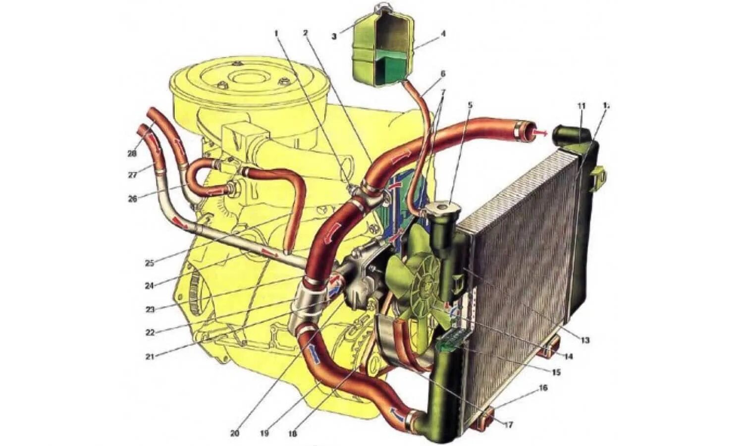 Почему греется радиатор. Система охлаждения двигателя Нива 21213 карбюратор. Система охлаждения Нива 21213. Система охлаждения ДВС Нива 21213. Система циркуляции охлаждающей жидкости на ВАЗ 21213.