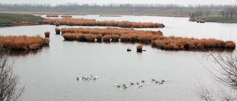 Остров водный ростовская область