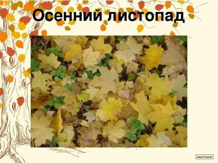 Осенний листопад предложения