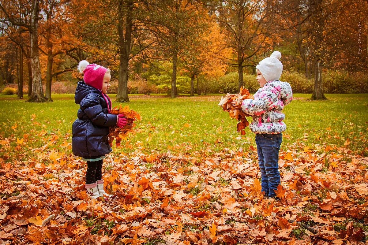 Тема прогулки с детьми. Осенние прогулки с детьми. Дети на прогулке осенью. Осенняя прогулка. Прогулка осенью.