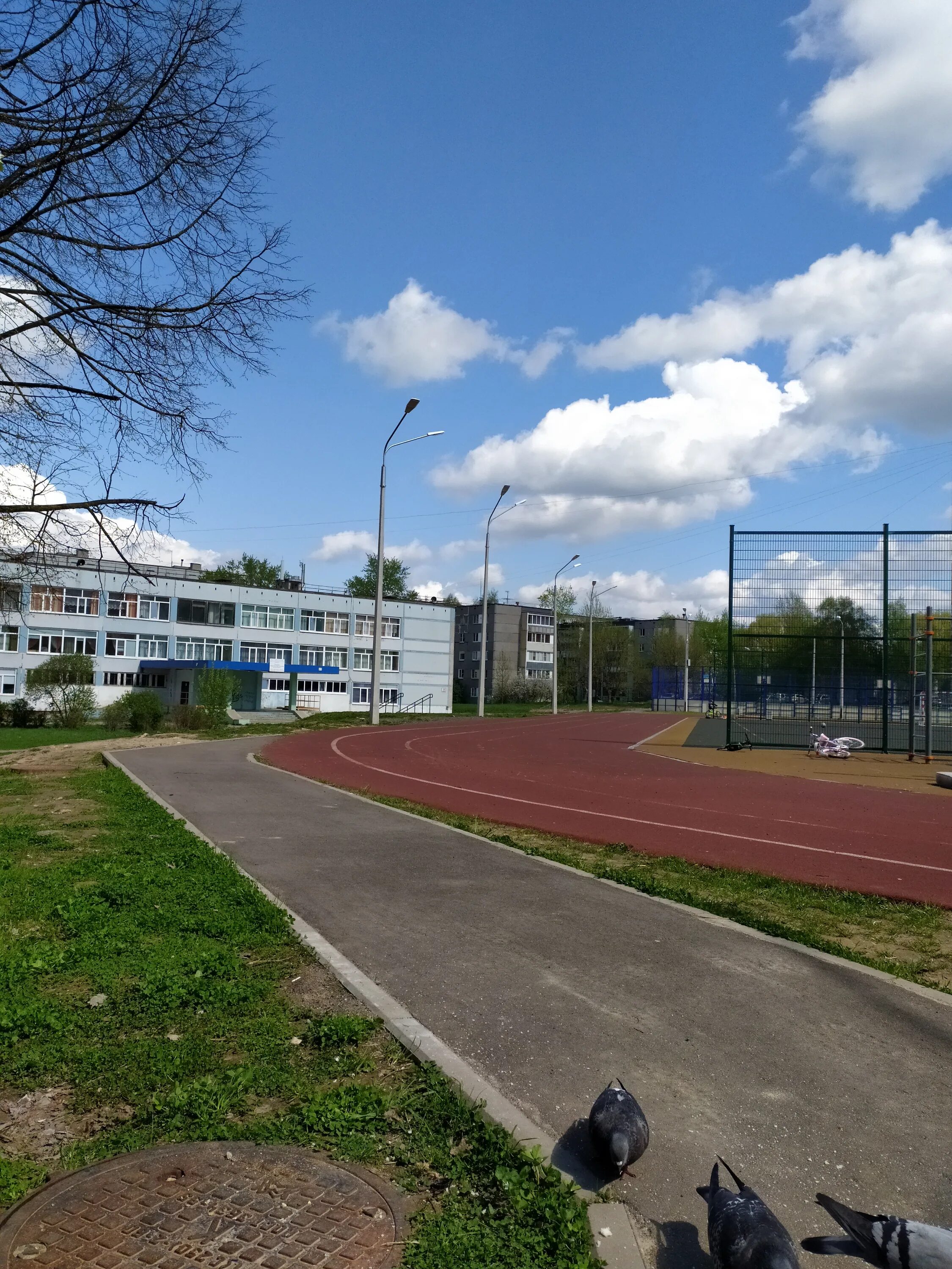 22 школа череповец. 26 школа череповец. школы череповца отзывы. школа 24 череповец фото. школы череповца отзывы.