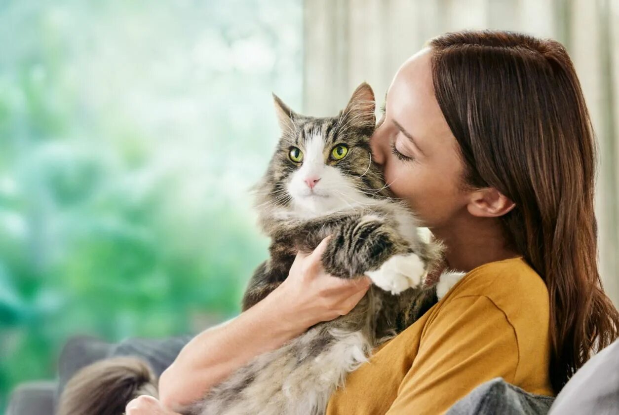 Аллергия на кошек. Животные для людей с аллергией на кошек.