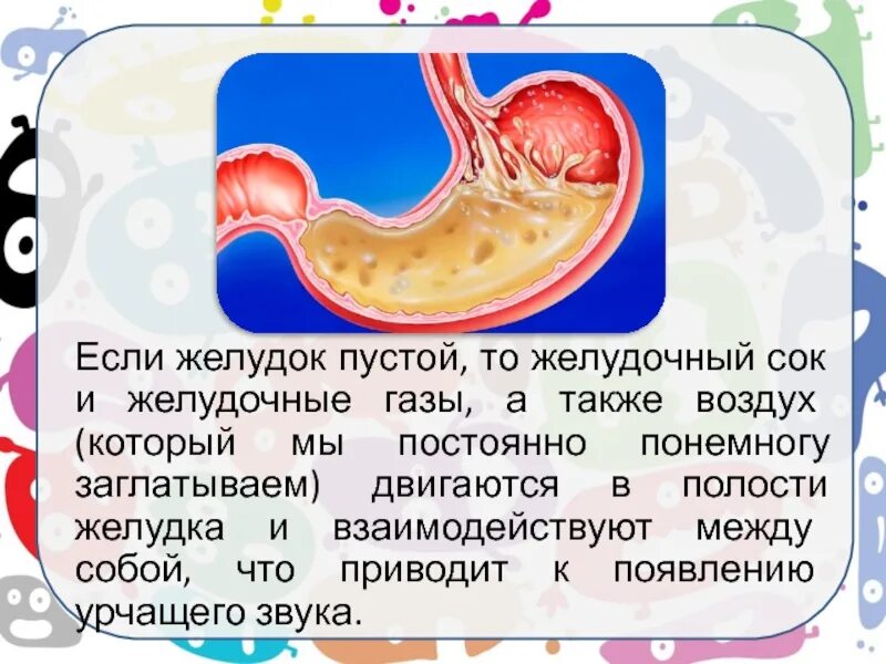 Почему утром газы. Голодный желудок.