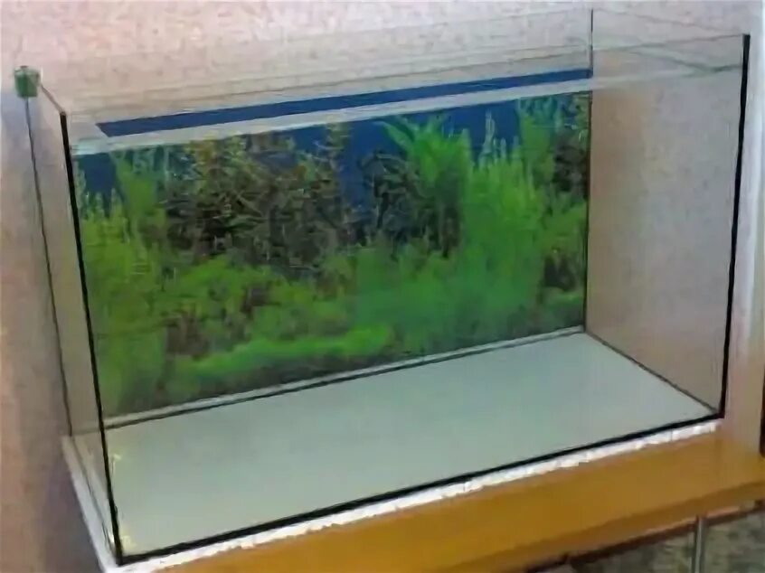 Отдам компрессор даром для аквариума в ступине. Отдам даром аквариумных рыбок. Отдам даром аквариум. Аквариум для рыб-даром в израиль. Содержать в аквариуме.