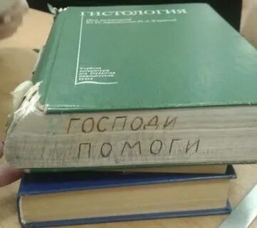 День студента медика - 69 фото